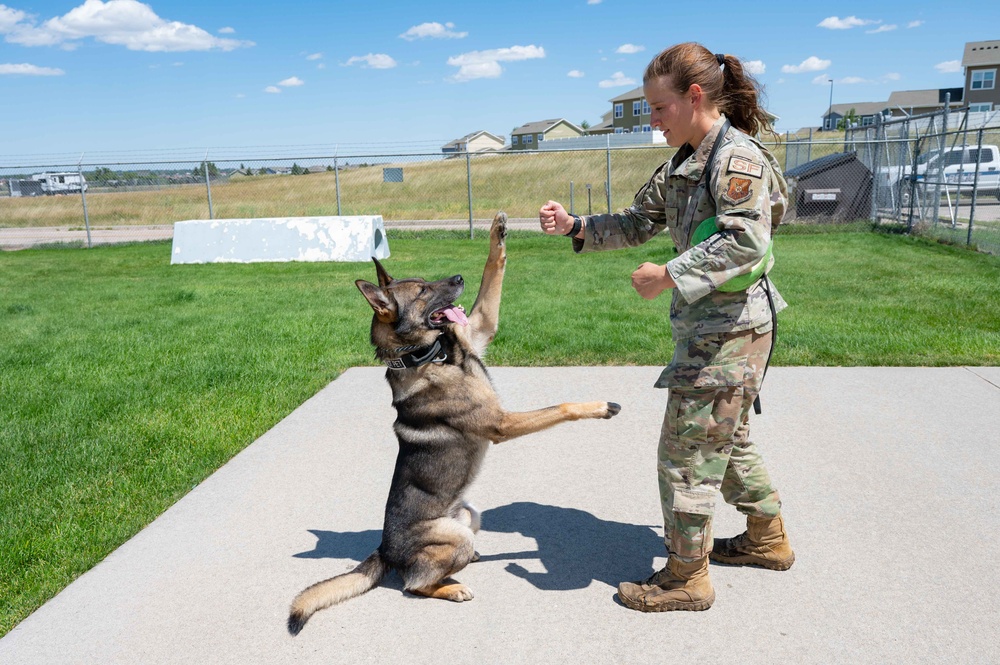 90 SFS MWD training