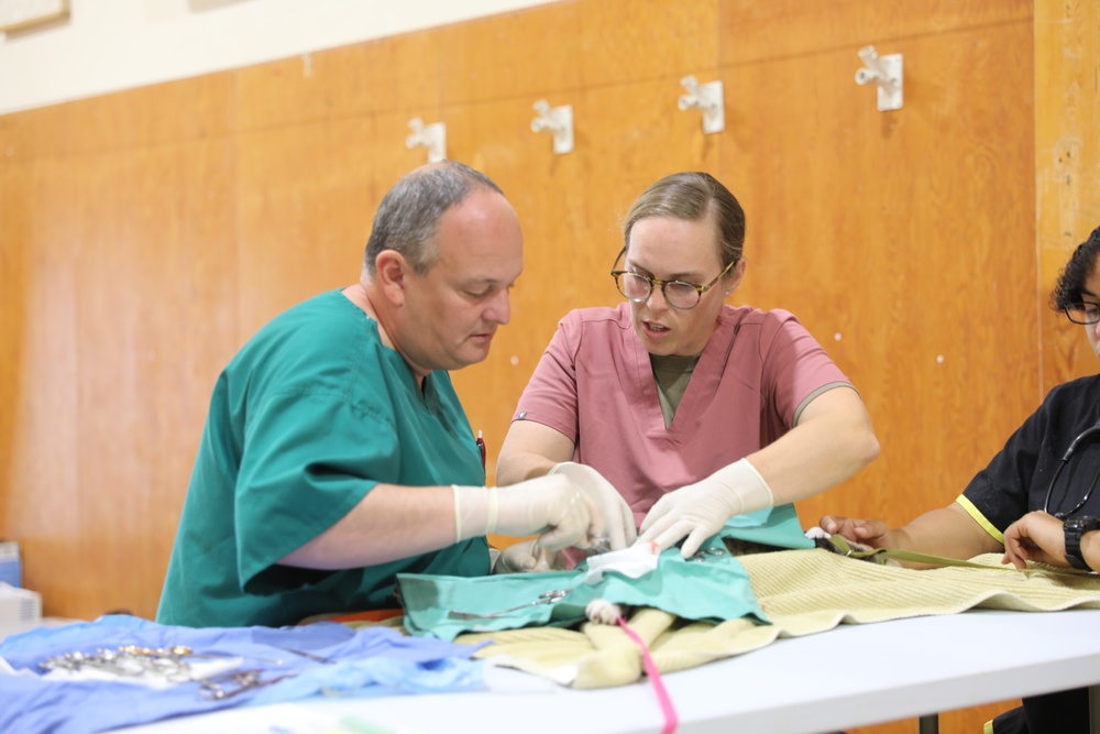 Walking Shield Veterinary Services