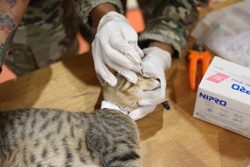 Walking Shield Veterinary Services