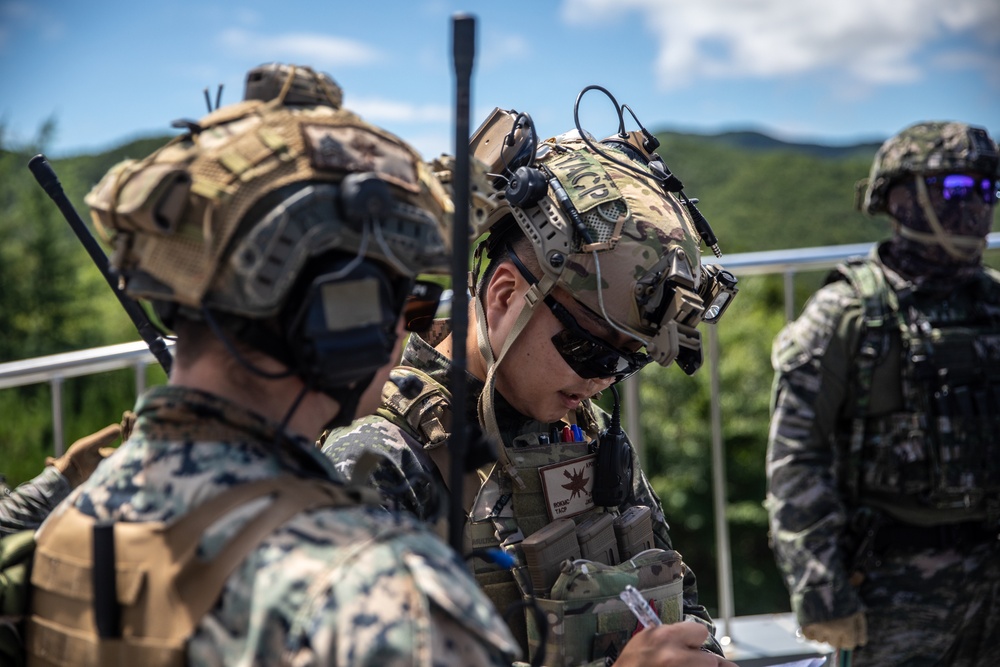 5th ANGLICO and ROK Marines provide close air support during KMEP