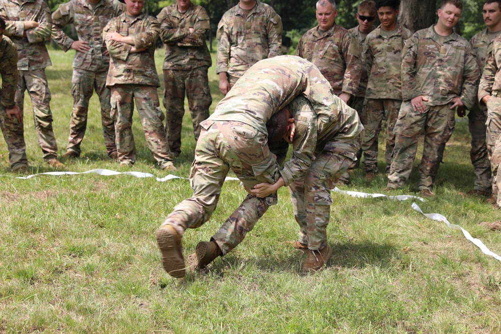 Combatives training