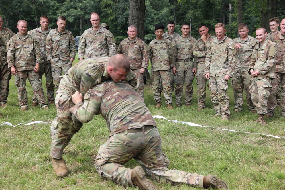 Combatives training