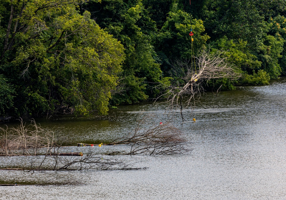 When trees fly: Pittsburgh District delivers new fish habitats on Ohio River