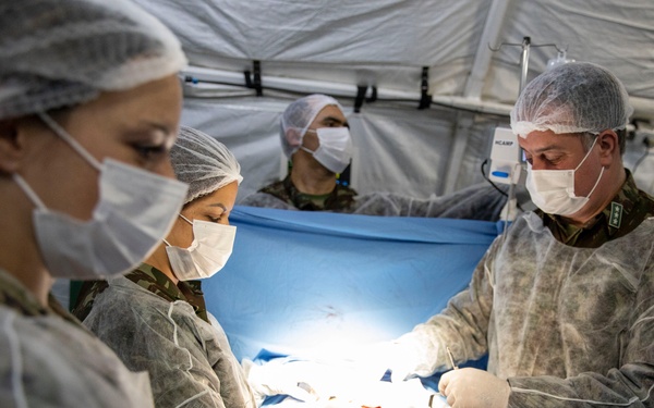 NY National Guard combat medics join humanitarian exercise, Operation Parana III in Brazil
