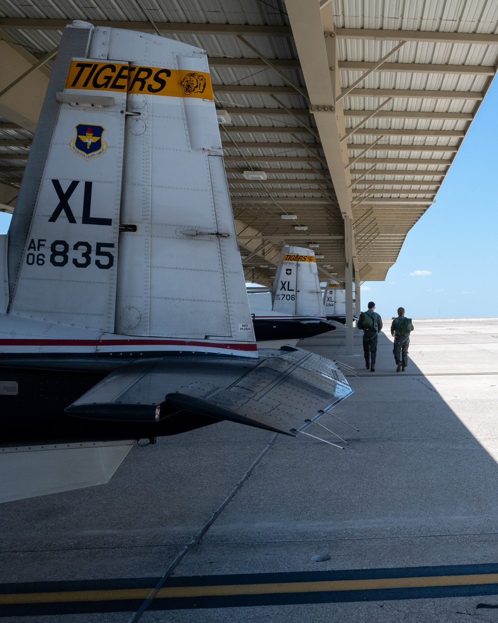 Tigers in the sky