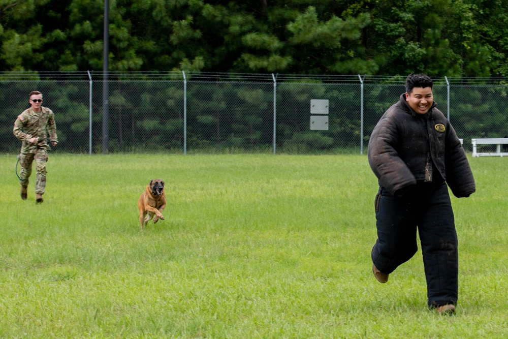 Gino, A True Dogface Soldier