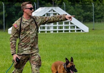 Gino, A True Dogface Soldier