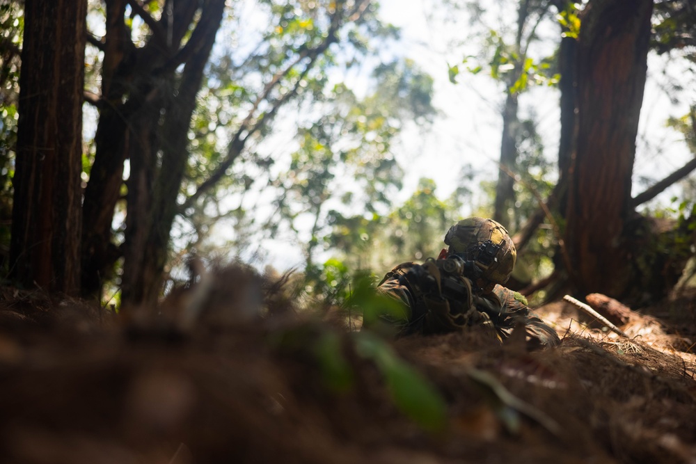 3d LCT conducts infantry training during Pololu Strike