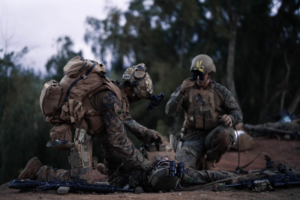 3d LCT conducts infantry training during Pololu Strike