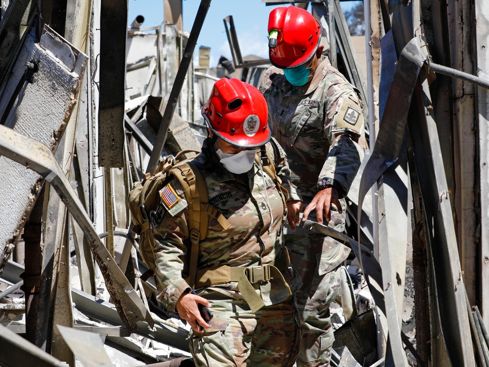 JTF-50 Searches through Maui Wildfire Devastation