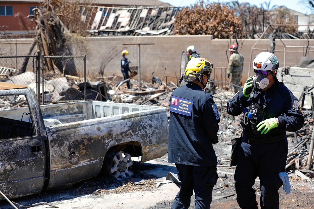 JTF-50 Searches through Maui Wildfire Devastation