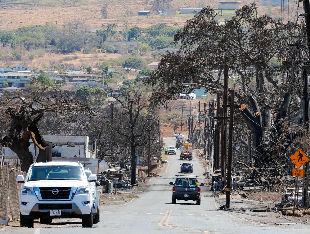 JTF-50 Searches through Maui Wildfire Devastation