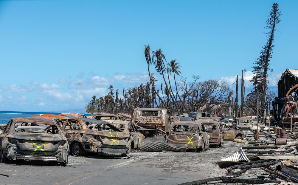 JTF-50 Searches through Maui Wildfire Devastation