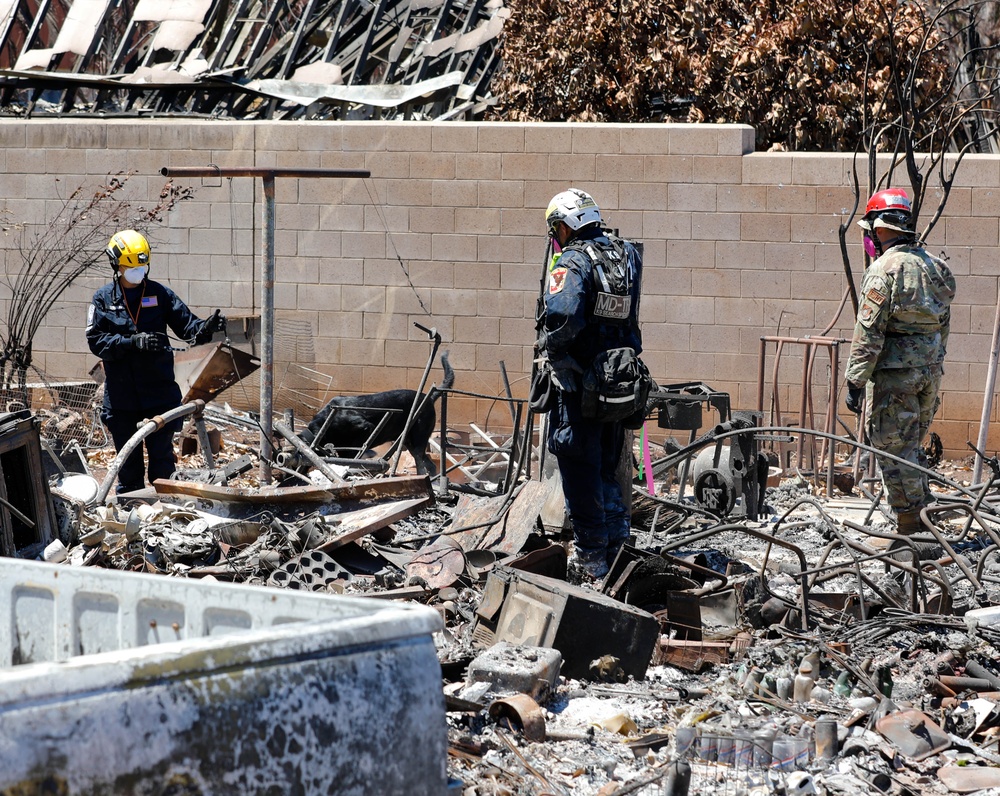 JTF-50 Searches through Maui Wildfire Devastation