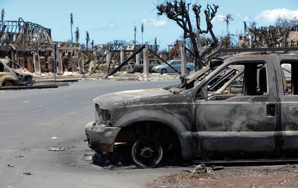 JTF-50 Searches through Maui Wildfire Devastation