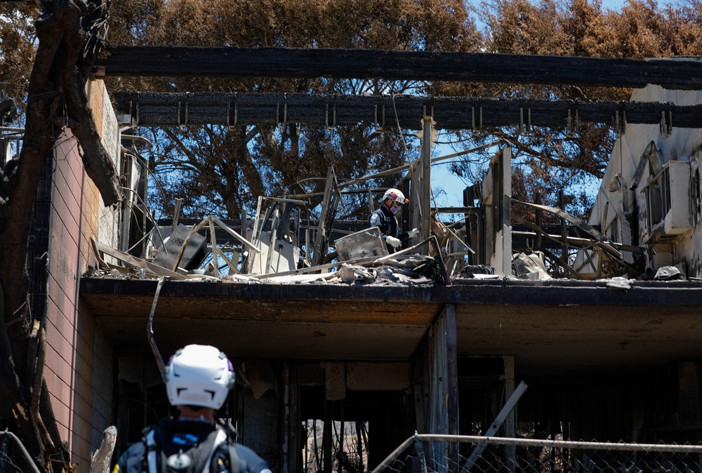 JTF-50 Searches through Maui Wildfire Devastation