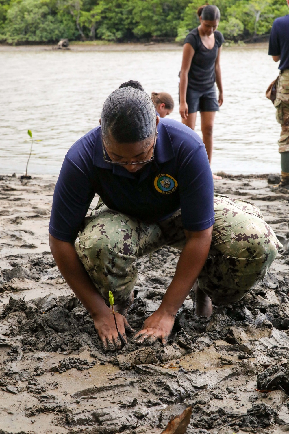 Sailors, Soldiers and Navy Partners participate in a Mangrove Revitalization Project in Fiji during Pacific Partnership 2023