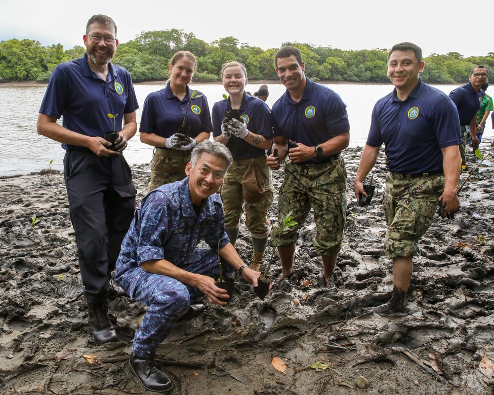 Sailors, Soldiers and Navy Partners participate in a Mangrove Revitalization Project in Fiji during Pacific Partnership 2023