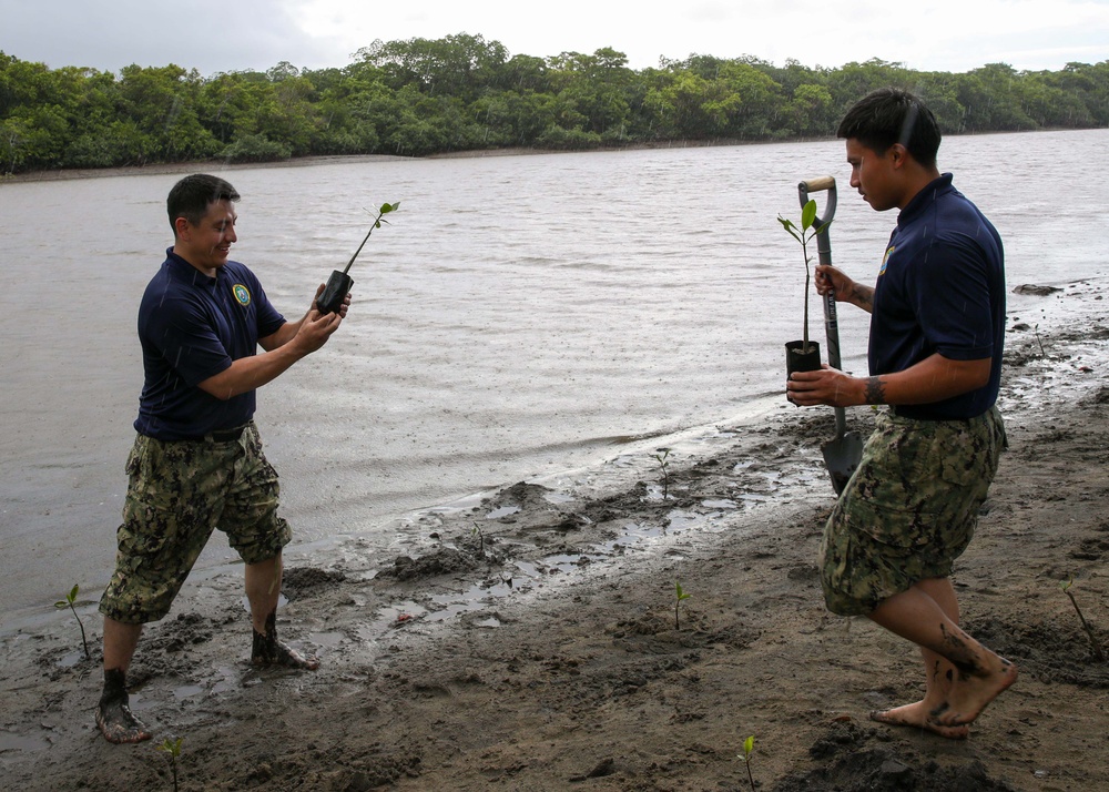 Sailors, Soldiers and Navy Partners participate in a Mangrove Revitalization Project in Fiji during Pacific Partnership 2023