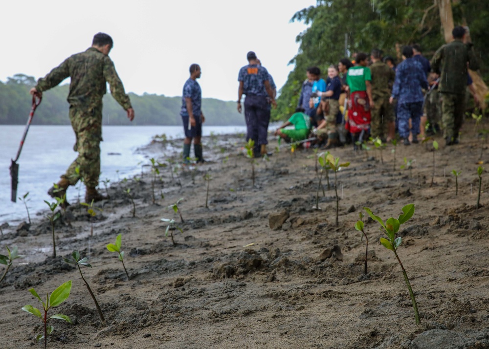 Sailors, Soldiers and Navy Partners participate in a Mangrove Revitalization Project in Fiji during Pacific Partnership 2023