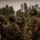26th MEU(SOC) Trading Tactics, Techniques and Procedures with the Norwegian Army
