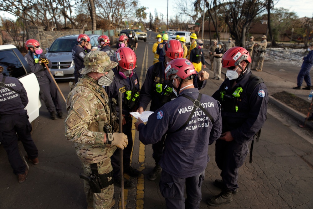 Lahaina wildfire response