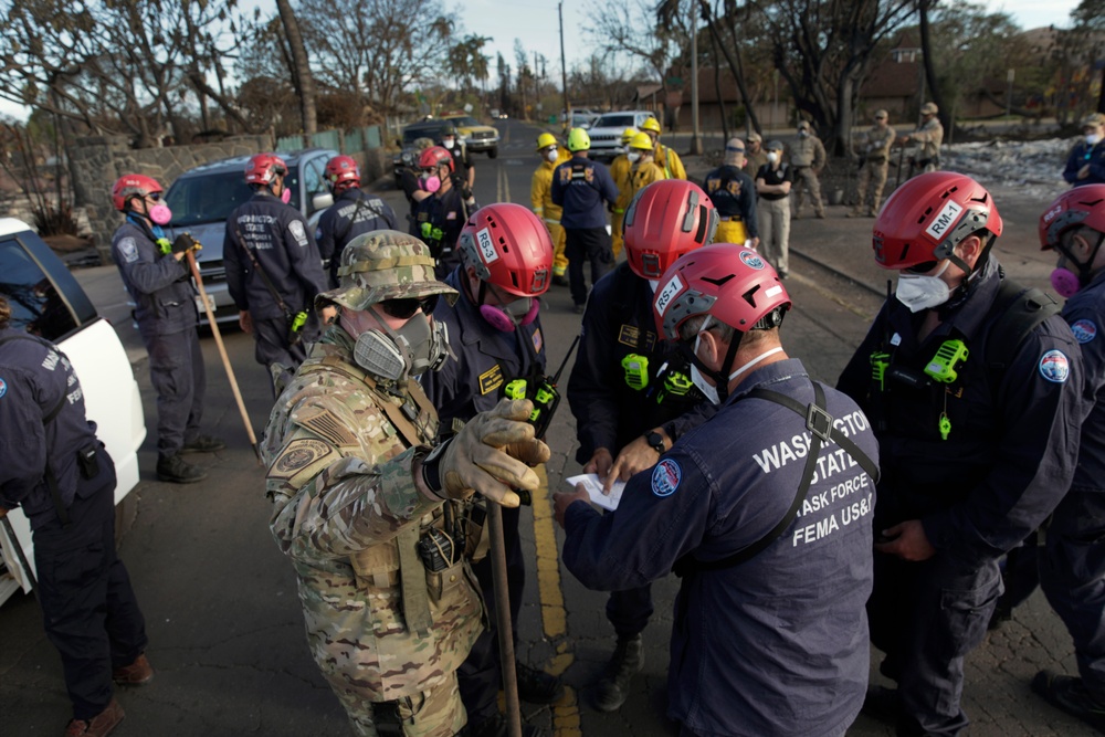 Lahaina wildfire response