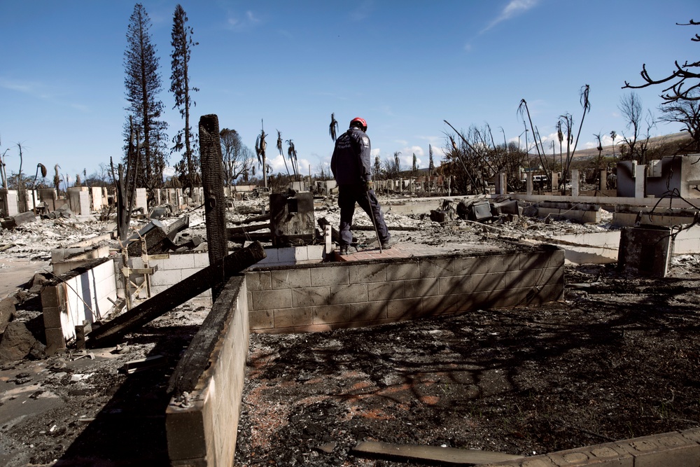 Lahaina wildfire response