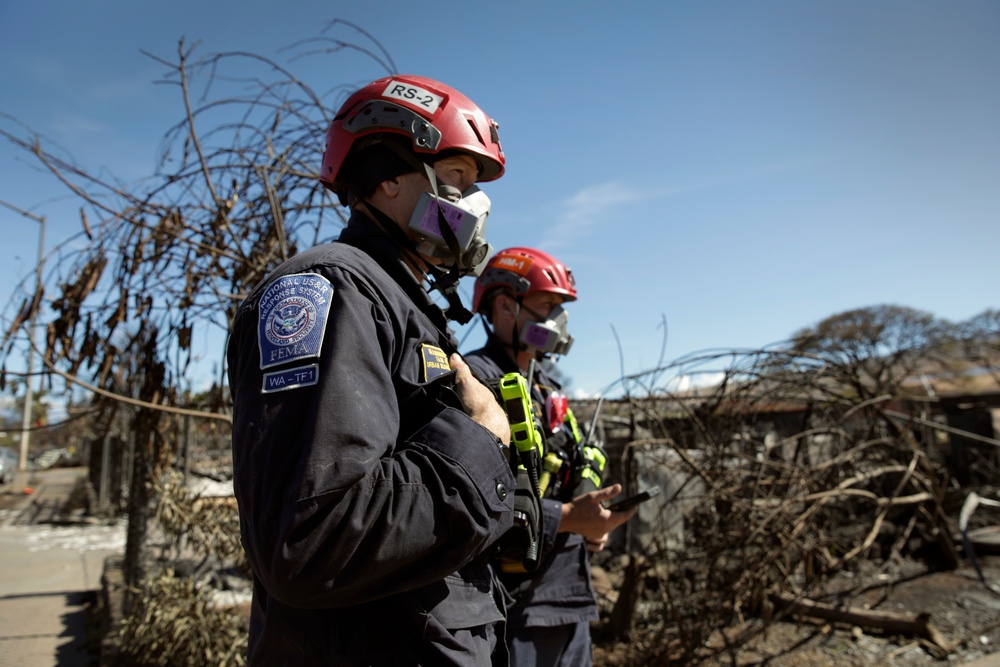 Lahaina wildfire response