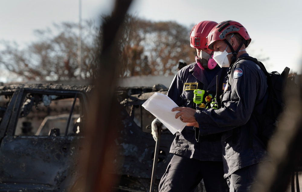 Lahaina wildfire response