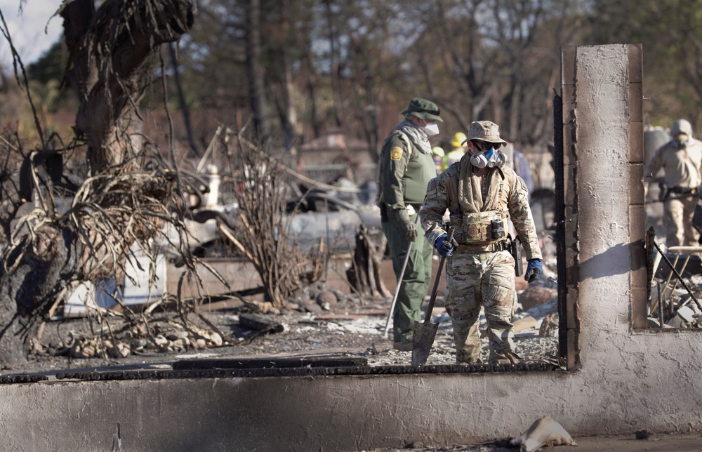 Lahaina wildfire response