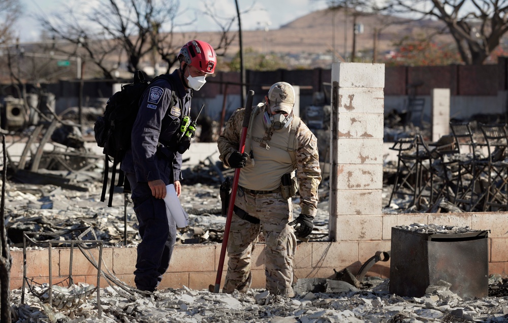 Lahaina wildfire response