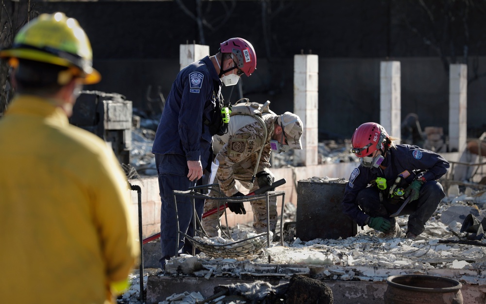 Lahaina wildfire response