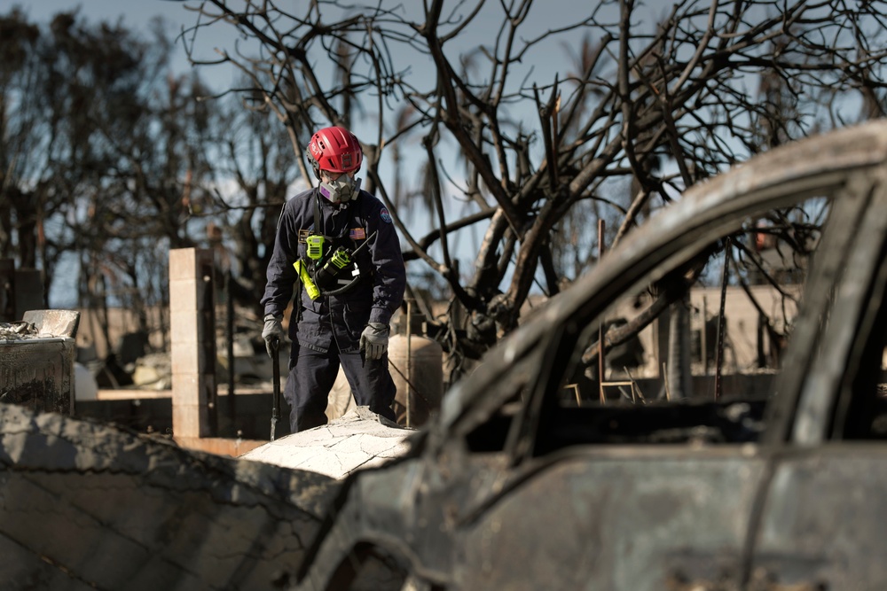 Lahaina wildfire response