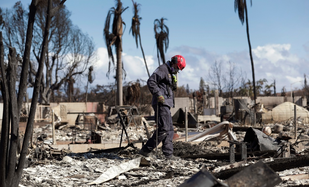 Lahaina wildfire response