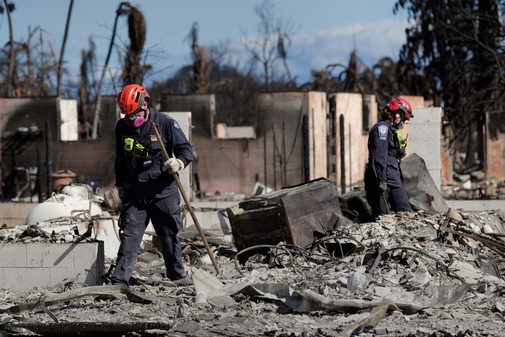 Lahaina wildfire response