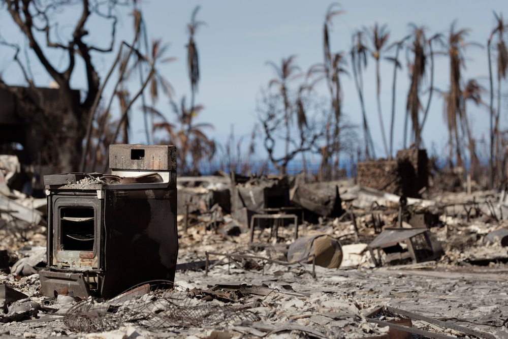 Lahaina wildfire response