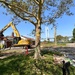 Fort Hamilton begins housing improvement project with demolition of old senior leader homes