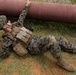 Engineer Maintenance Company BST FEX