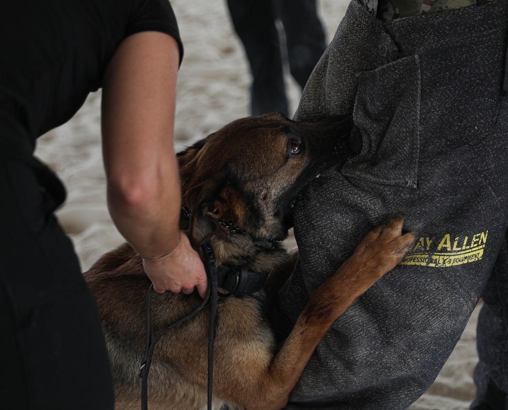 ASG-K Military Working Dogs Detachment K-9 Demonstration 2023