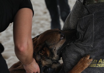 ASG-K Military Working Dogs Detachment K-9 Demonstration 2023