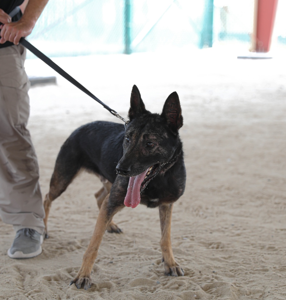 ASG-K Military Working Dogs Detachment K-9 Demonstration 2023