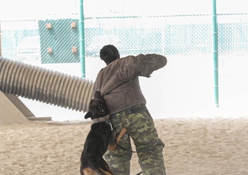 ASG-K Military Working Dogs Detachment K-9 Demonstration 2023