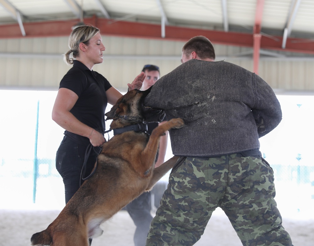 ASG-K Military Working Dogs Detachment K-9 Demonstration 2023