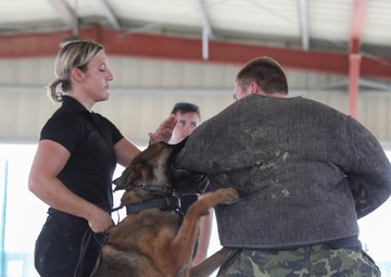ASG-K Military Working Dogs Detachment K-9 Demonstration 2023