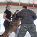 ASG-K Military Working Dogs Detachment K-9 Demonstration 2023