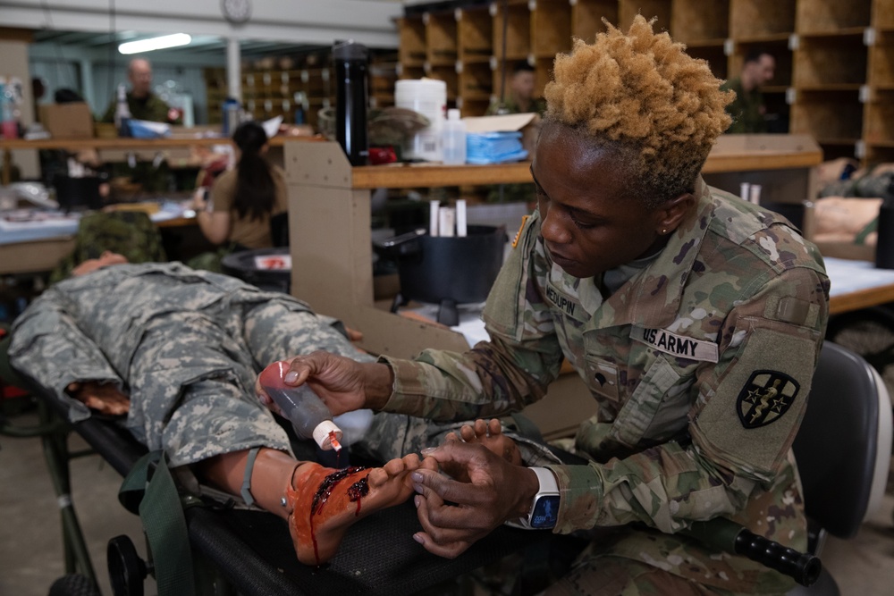 Joint medical readiness training builds allied bonds