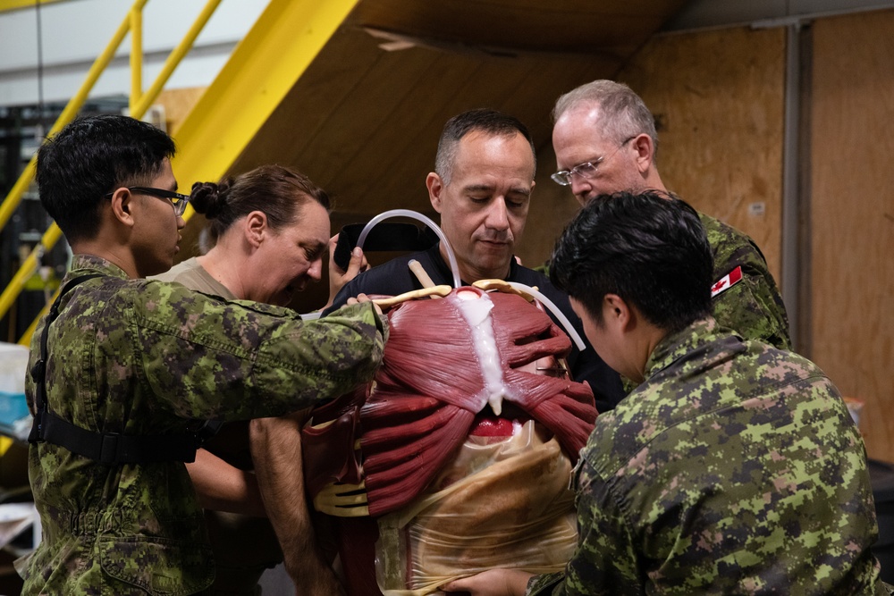 Joint medical readiness training builds allied bonds