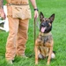 Rookie MWD Ssoto trains to be mission ready