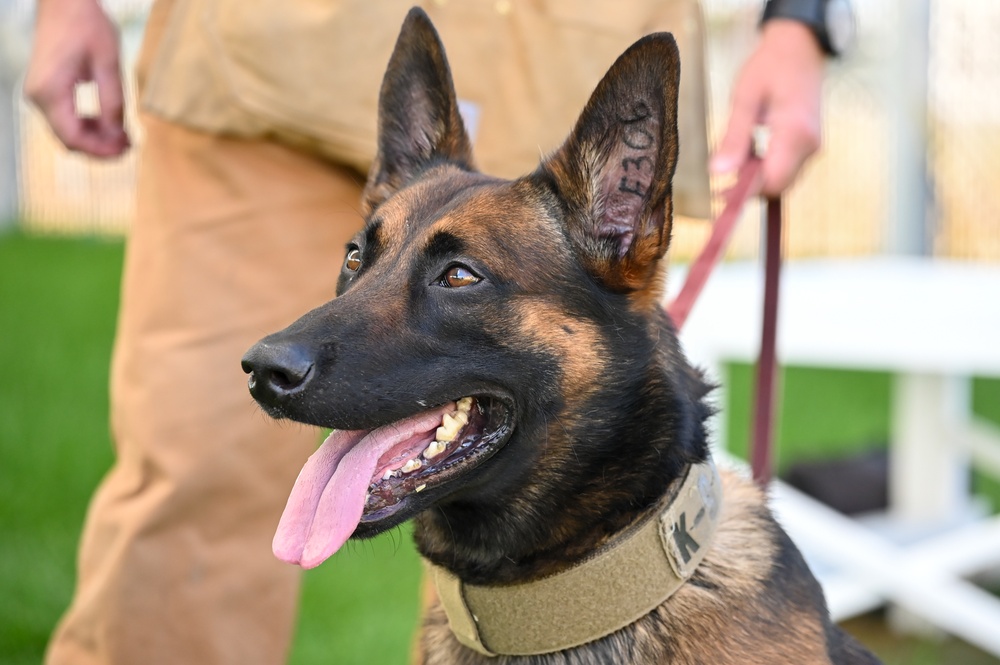 Rookie MWD Ssoto trains to be mission ready